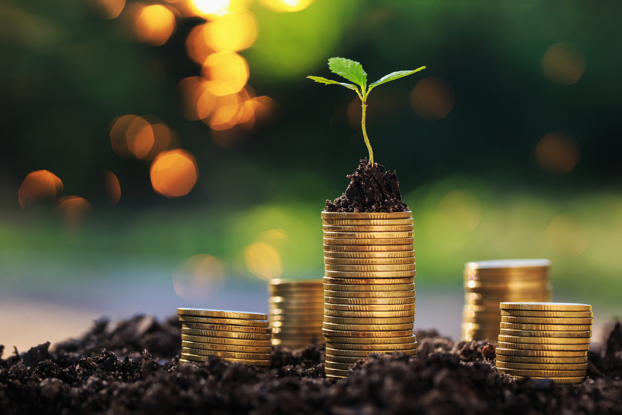 A small green plant grows atop a stack of gold coins set in fertile soil, with additional coins scattered around. The background is softly lit with blurred greenery and light bokeh, symbolizing growth and investment—an apt visual for a "Spend Less Save More" philosophy. | LESSINVEST