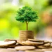 A small tree grows on top of a stack of gold coins, with more coins scattered around the base. The background is blurry with shades of green and yellow, indicating an outdoor setting. The image symbolizes financial growth and investment, illustrating the best way to invest 100k for substantial returns. | LESSINVEST