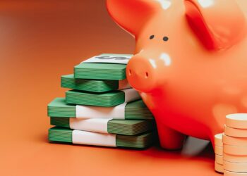 Budgeting 101: Practical Advice for Financial Stability | LessInvest