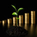 A small green plant growing from soil in the foreground, with stacks of gold coins in ascending order in the background against a dark backdrop, symbolizing financial growth and investment. | LESSINVEST
